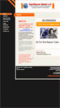 Mobile Screenshot of caprisecuregloballlc.com